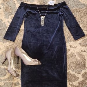 NWT Navy Blue Off the Shoulder Velour Dress
